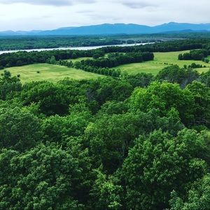 Meet your Posher, Jesie